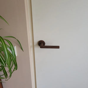 Lucio Walnut