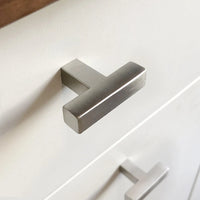 Vigio RVS Knob