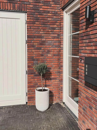Een modern bakstenen huis met een witte deur, groot raam, Nevio Antraciet brievenbus van yessential.nl, een kleine boom in pot in een witte plantenbak en een zwarte buitenlamp.
